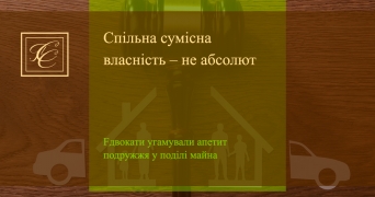 Спільна сумісна власність – не абсолют: адвокати угамували апетит подружжя у поділі майна