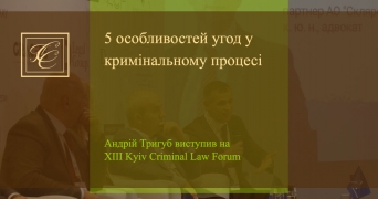 5 особливостей угод у кримінальному процесі озвучив А.Тригуб
